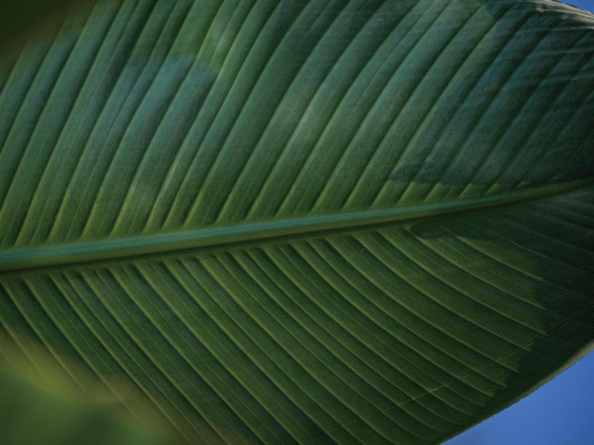 Homm Stay Yumiha Okinawa By Banyan Tree Group 恩纳 外观 照片